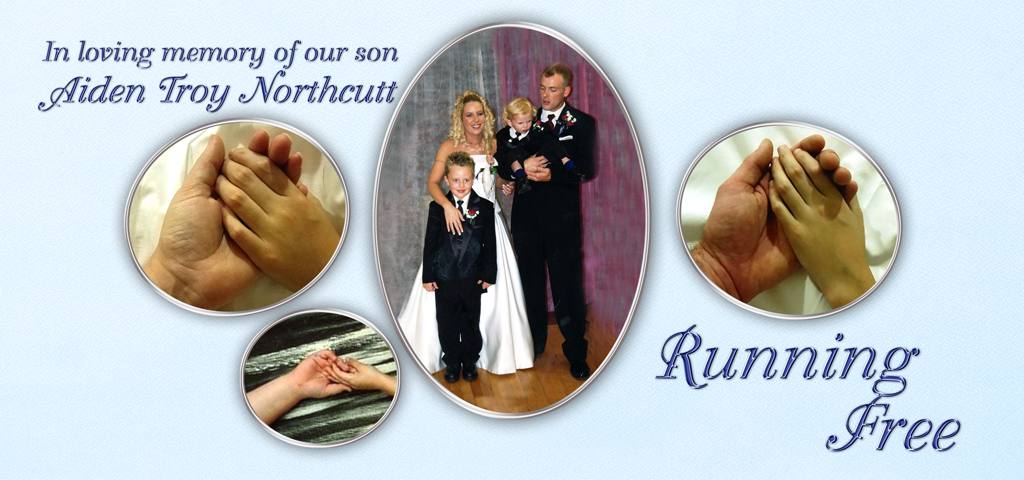 Blue Faux 3 pictures (Northcutt) PROOF